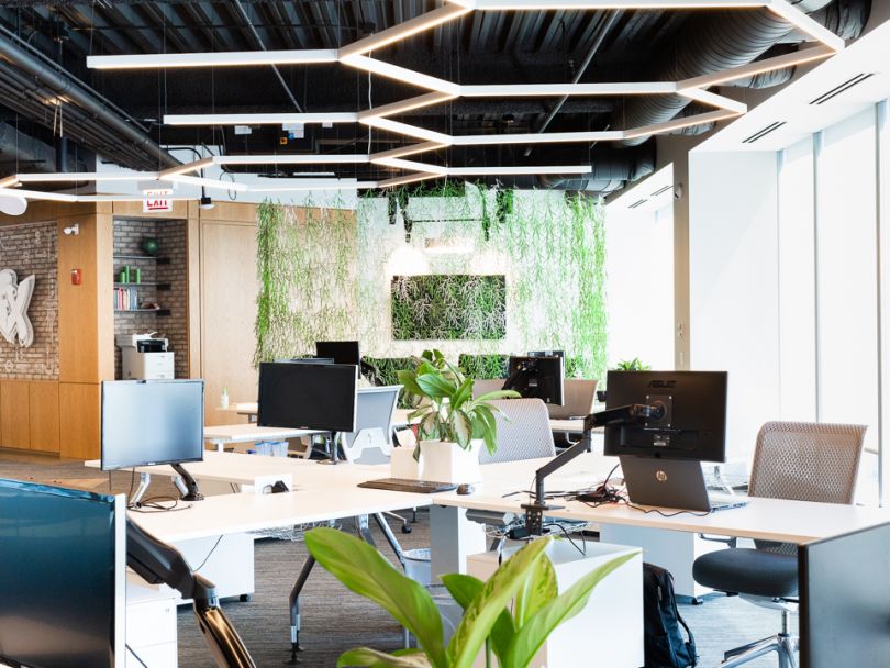 Pricefx office with open desk seats, plant walls and plenty of natural light.