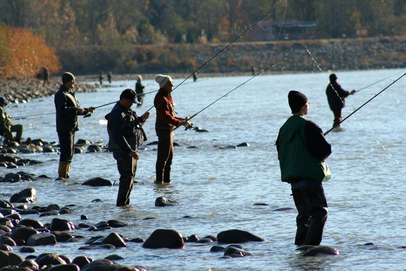 group of people fishing in a river