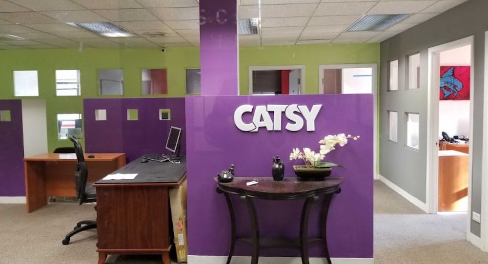 Catsy ecommerce companies putting new spins sales