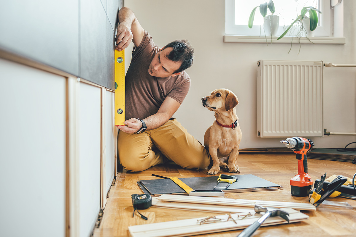 Man doing renovation work at home together with his small dog