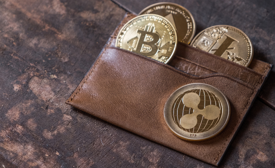 Cryptocurrency coins in a physical wallet