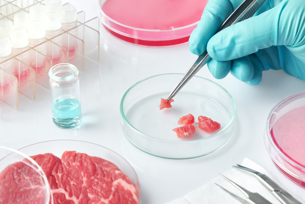 Lab-Grown Meat Startup Clever Carnivore Opens New HQ