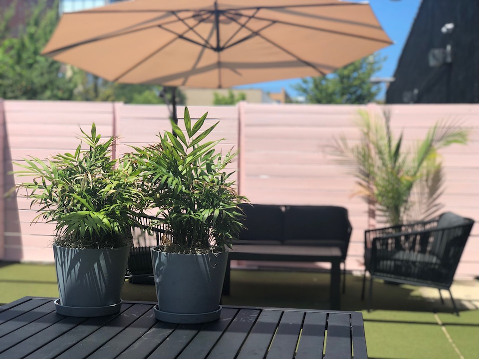 Livly's rooftop space