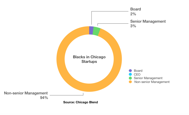 Chicago Blend Diversity  Startups
