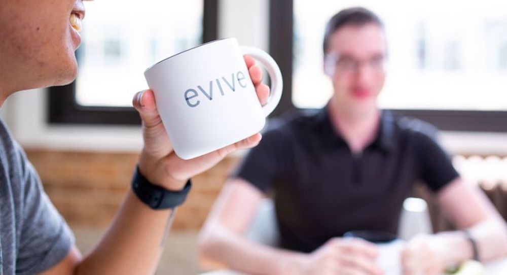 evive software company chicago