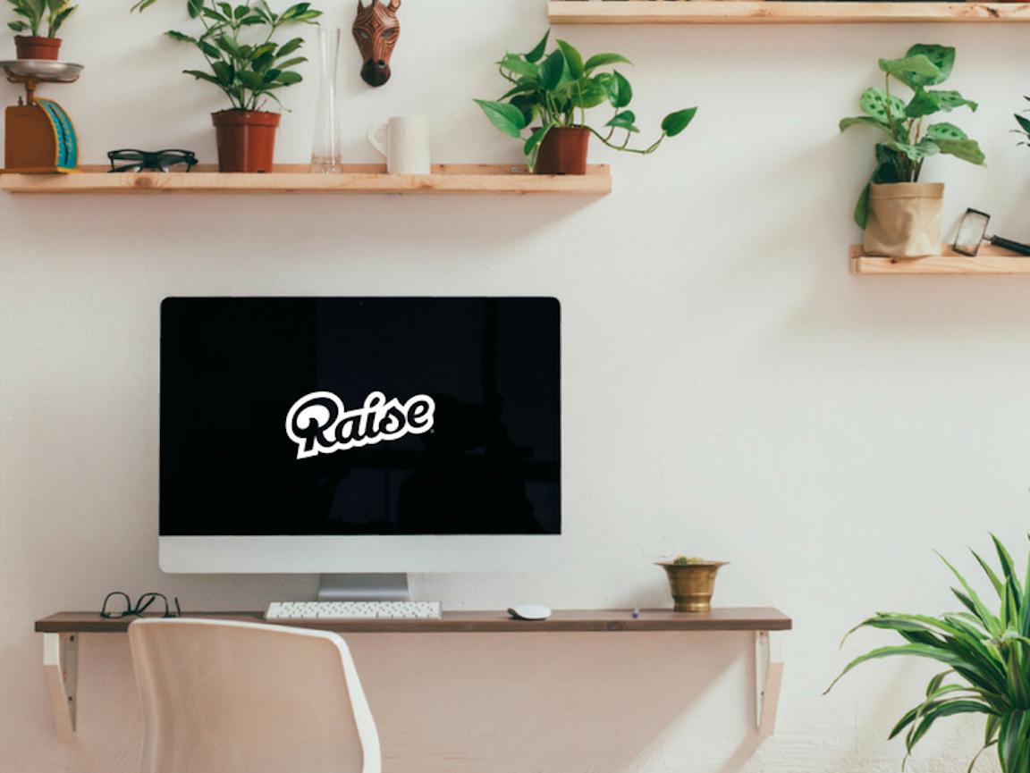 raise ecommerce company chicago