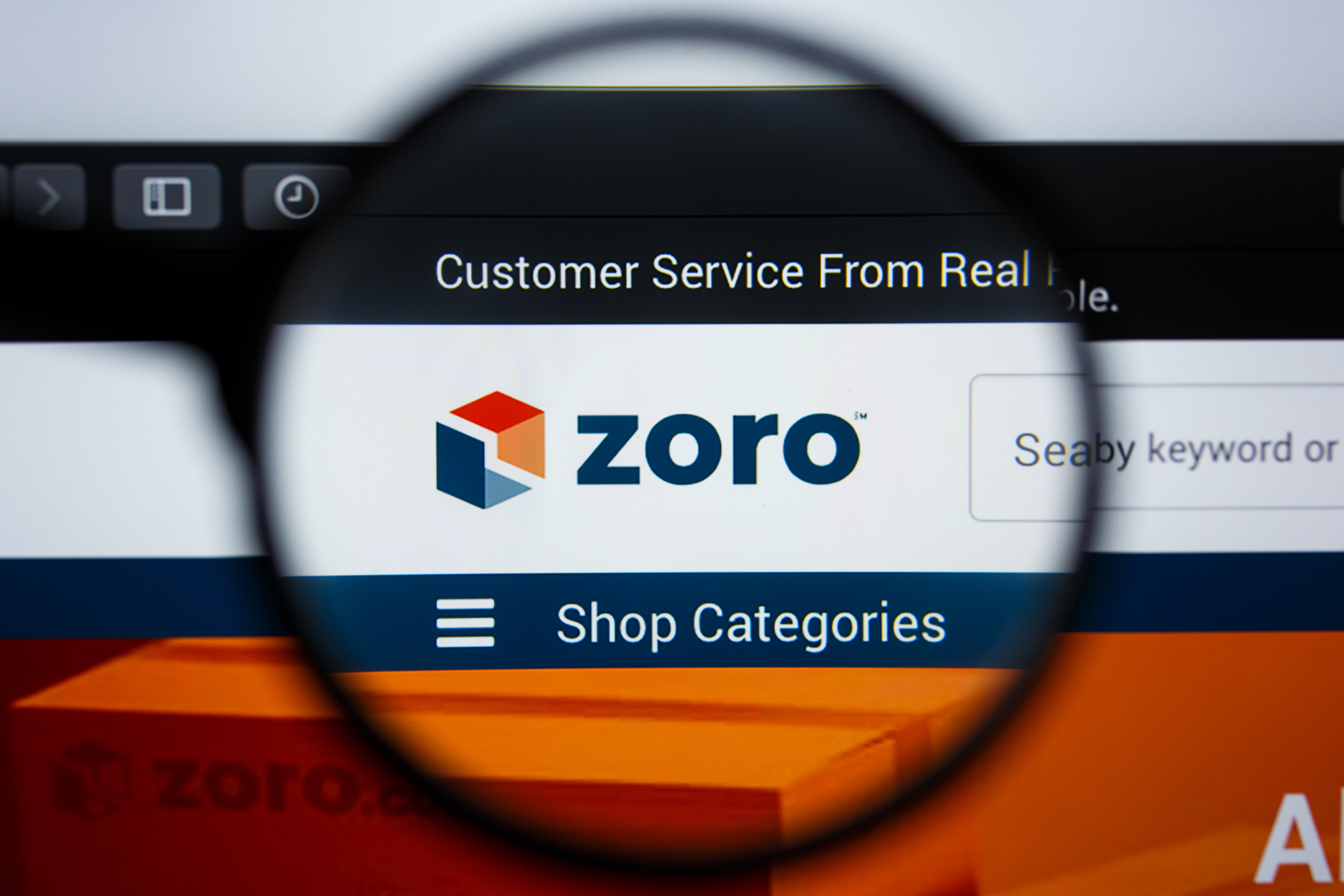 Zoro's company website logo.