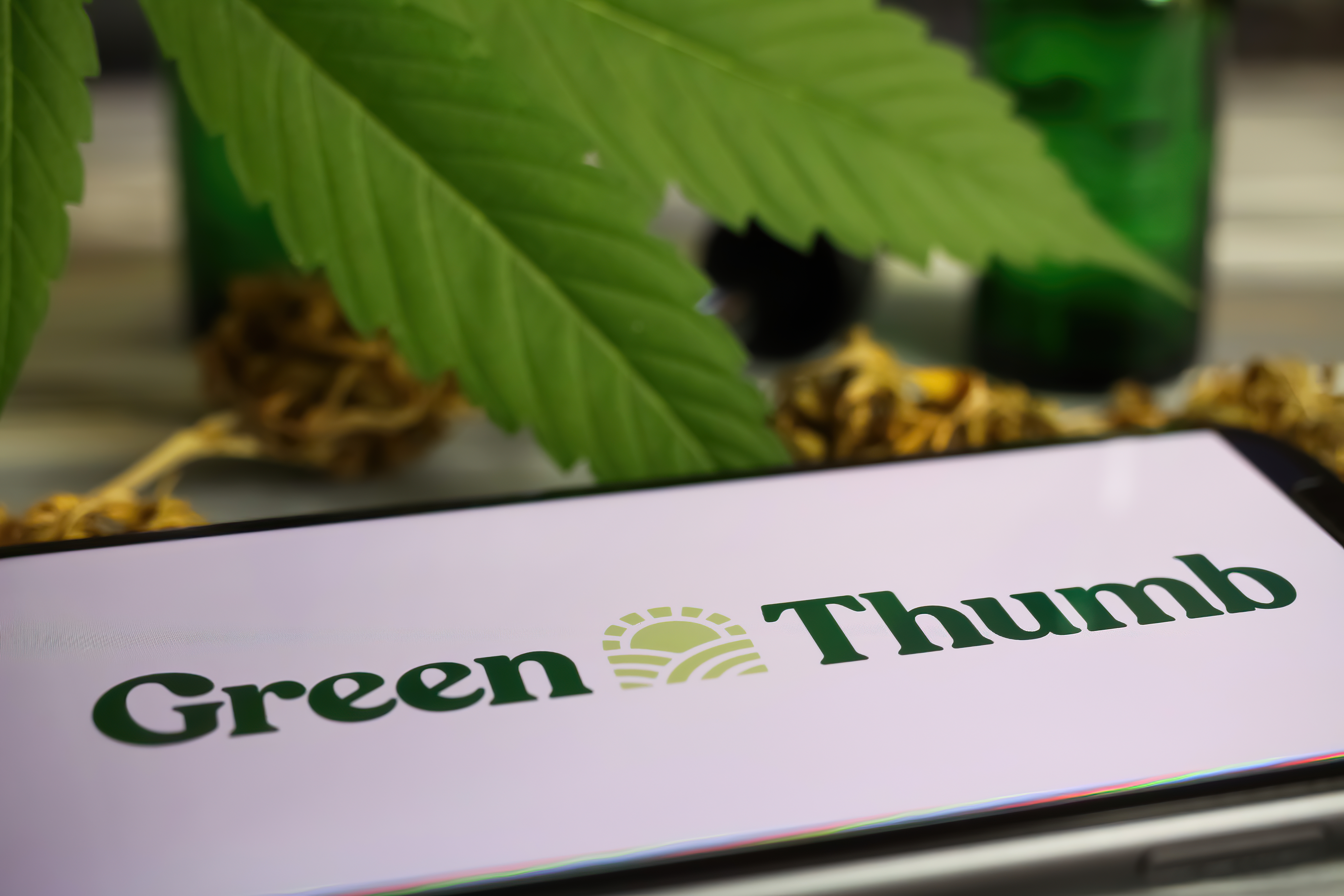 A mobile device displays the Green Thumb logo in from of a plant