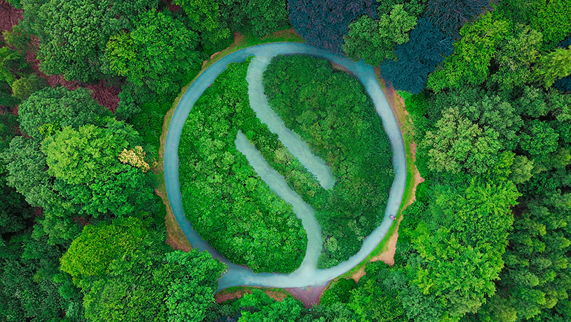 Sphera logo embedded over a forest