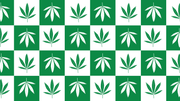 Cannabis leaves in green checkerboard graphic.