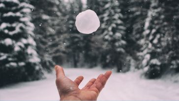 Someone tossing a snowball in the air in a snowy forest